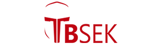 TBC&SK Ciberseguridad SA de CV.