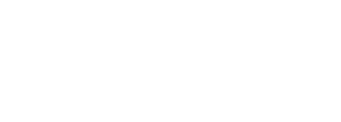 A1 Telekom Austria Group